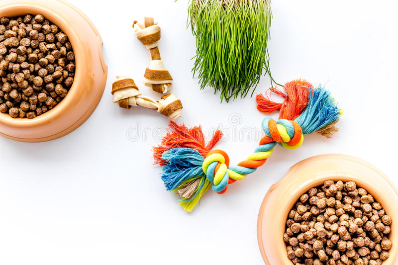 Pet Supplies
