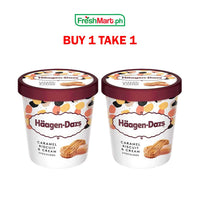 [BUY 1 TAKE 1] Haagen Dazs Pint Ice Cream 473ml