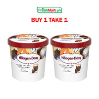 [BUY 1 TAKE 1] Haagen Dazs Pint Ice Cream 473ml