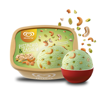 Selecta Pistachio & Cashew Ice Cream 1.3L