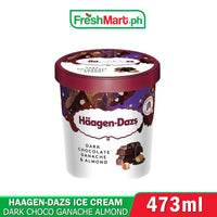 Haagen Dazs Dark Choco Ganache&Almond ice cream 473mL